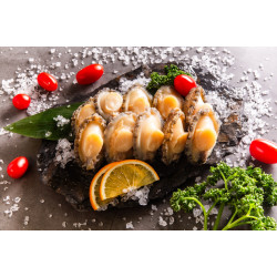 (小)鮑魚清肉