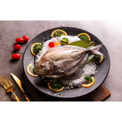 黑鯧400~500克