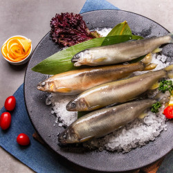 9尾裝母香魚