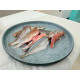 船凍小海魚