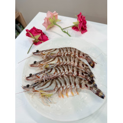 船凍明蝦(大)
