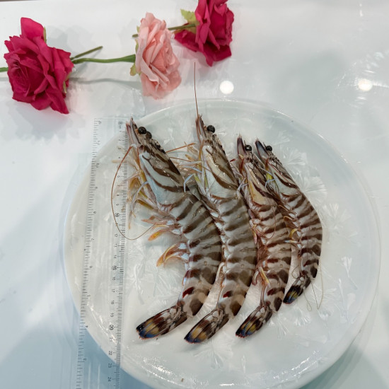 船凍明蝦(小)