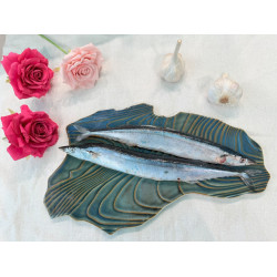 秋刀魚